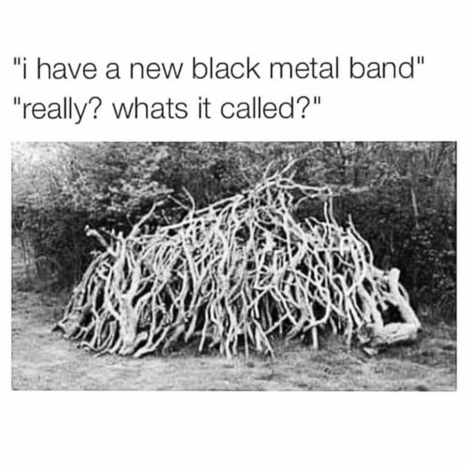 FB_IMG_1656769289647.jpg