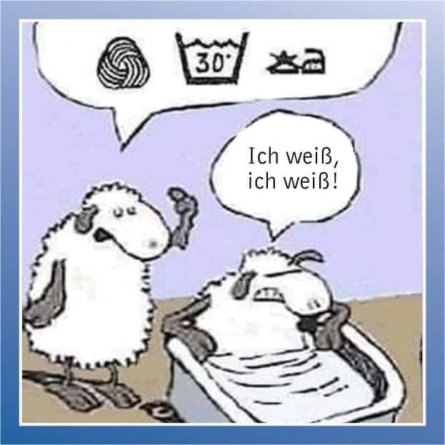 FB_IMG_1663230206547.jpg