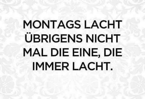 FB_IMG_1679902349493.jpg