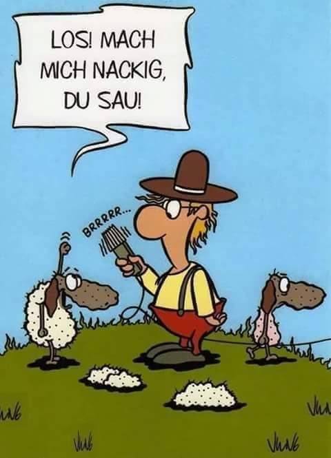 FB_IMG_1711350027868.jpg