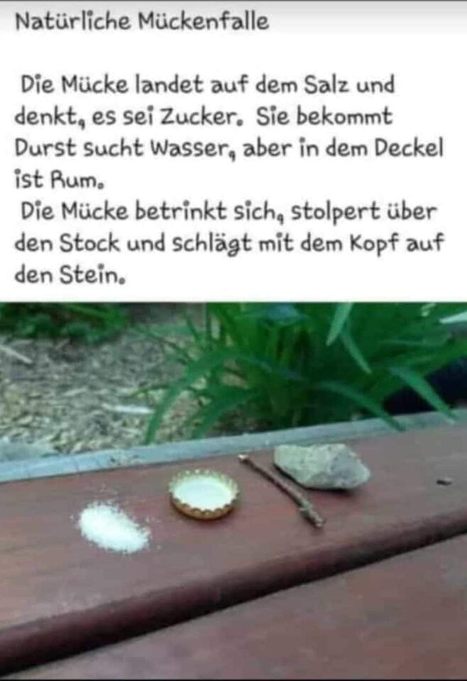 FB_IMG_1719293292637.jpg