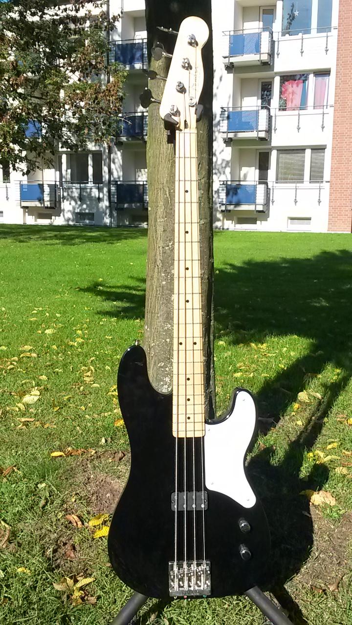 Fender1.jpg