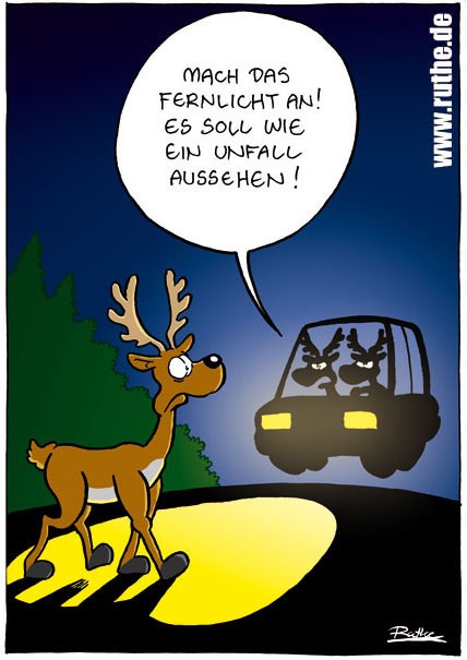 Fernlicht.jpg
