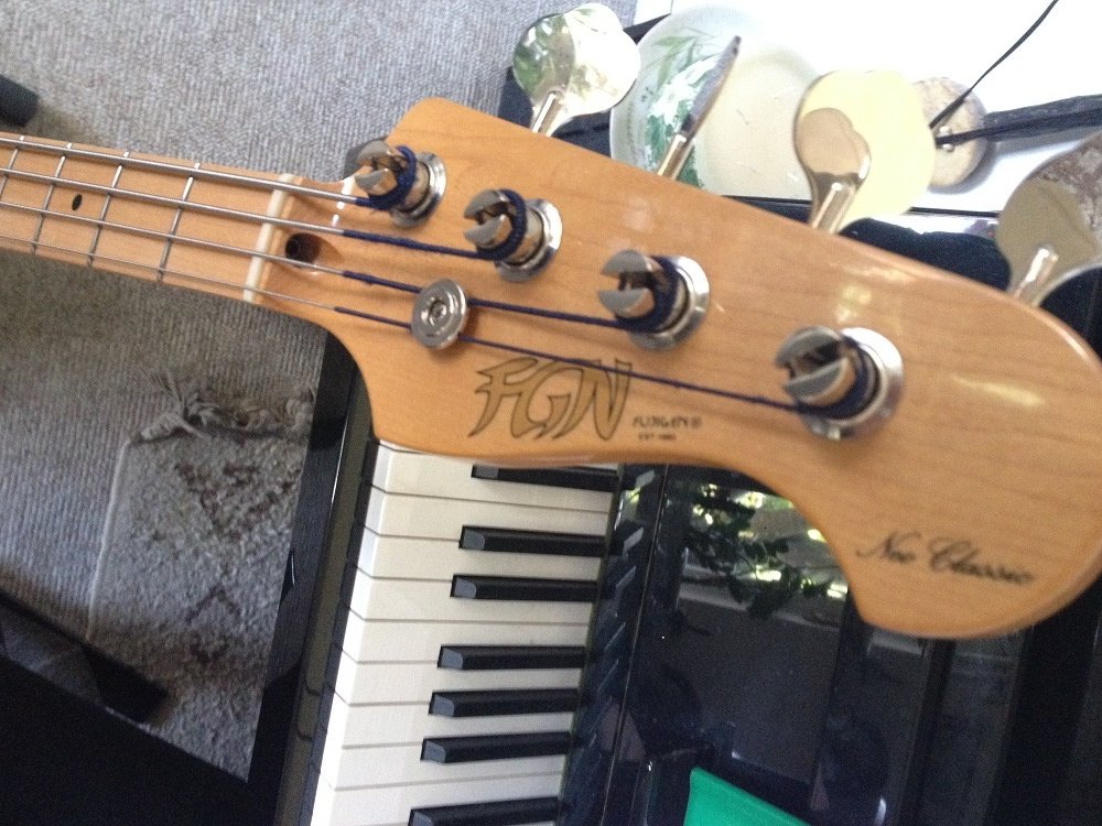 FGN 2.jpg