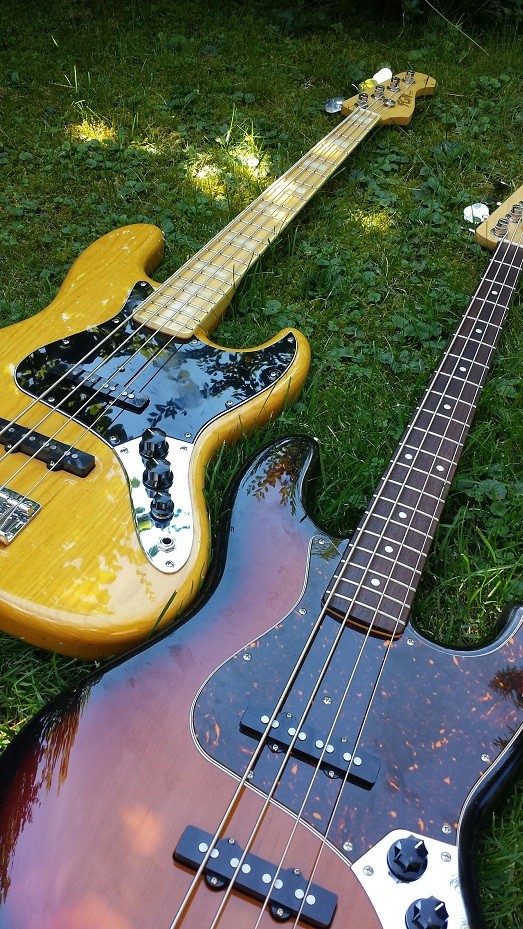 FGNs-1.jpg