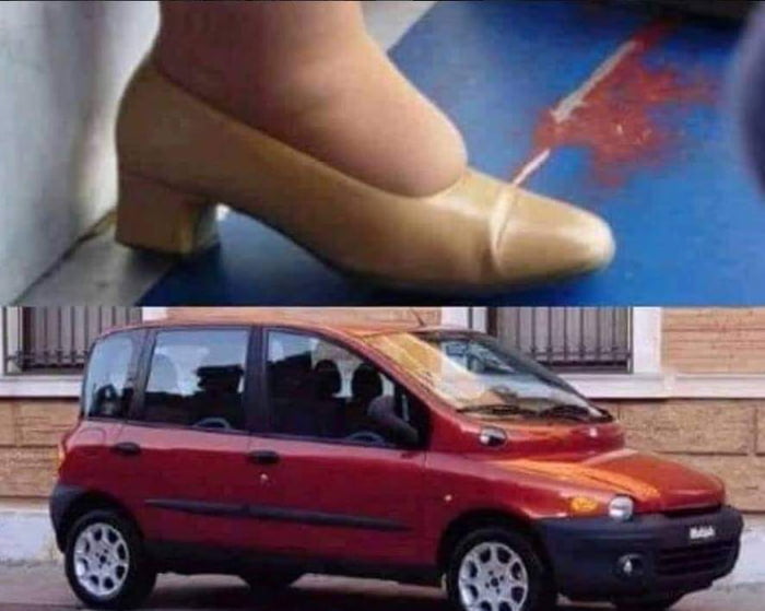 fi.jpg