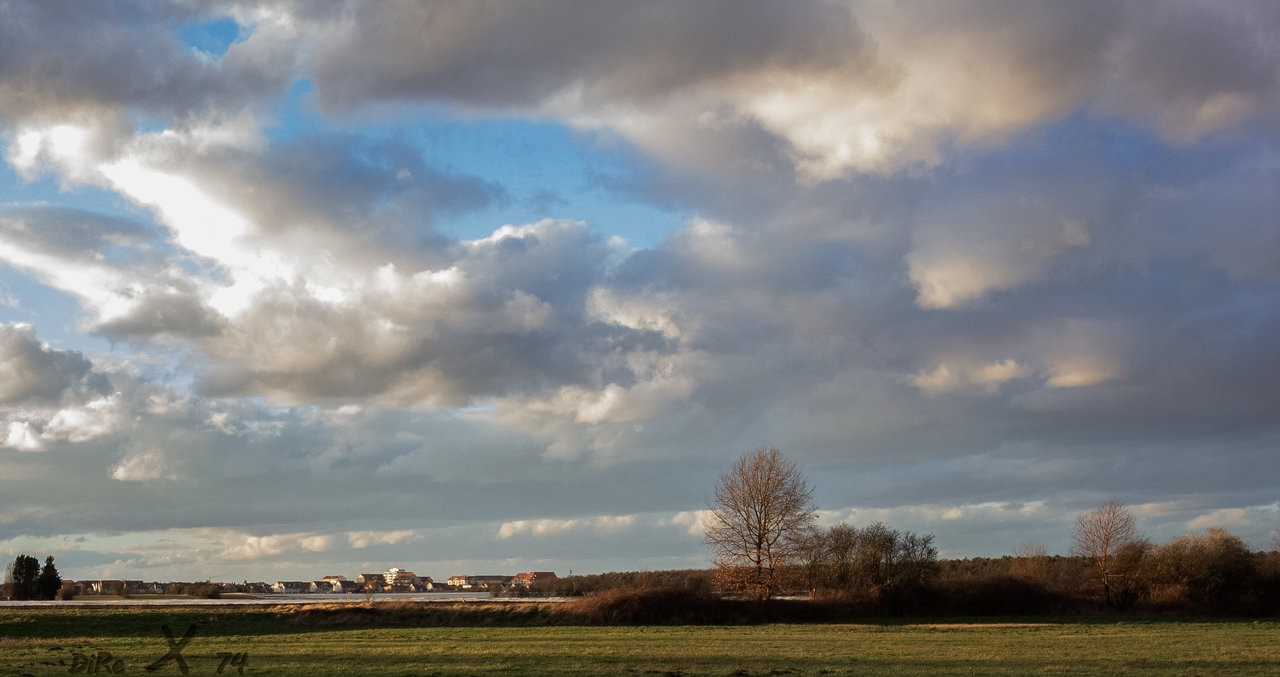 field_13122019-2.jpg