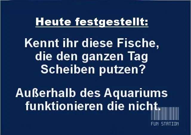Fische.webp
