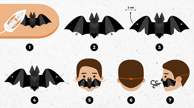 fledermaus.png