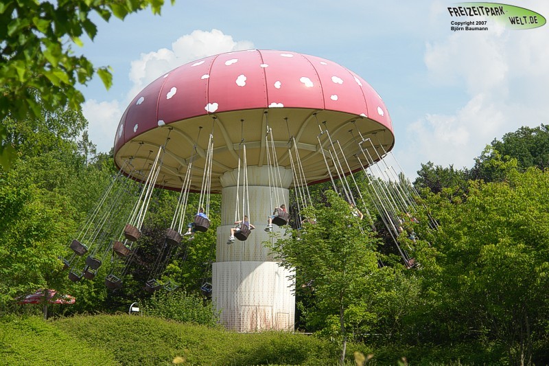 Fliegenpilz.jpg