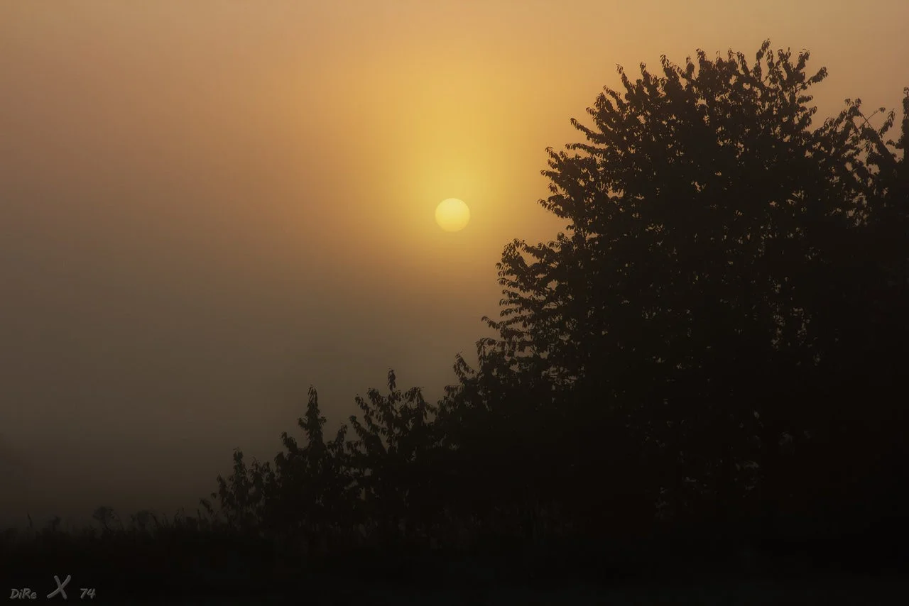 foggy sunset_13112019.webp