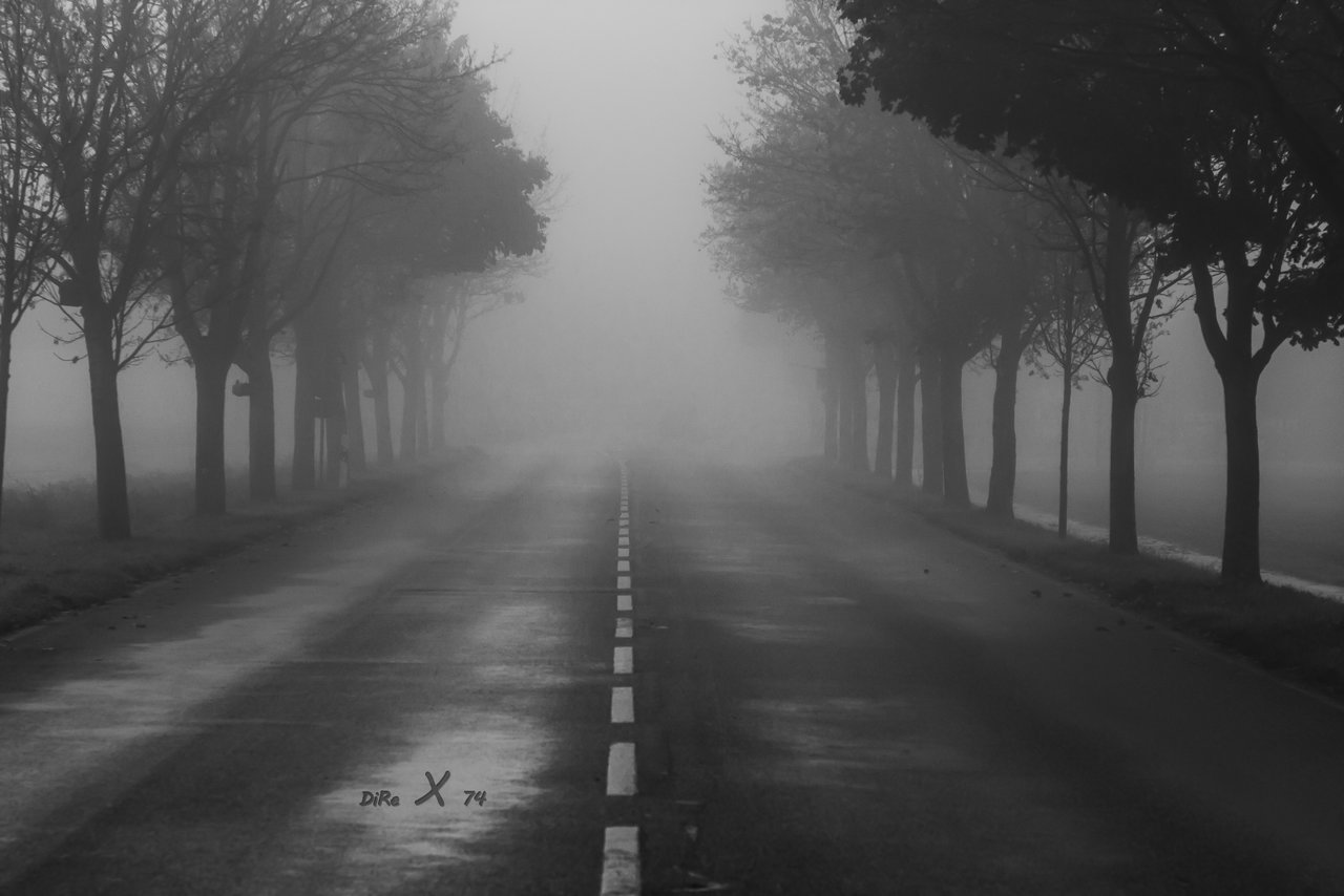 foggystreet_13112019.jpg