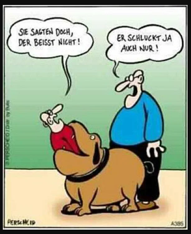 Foto 18.08.16 09 33 06.webp