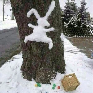 Foto 24.03.16 17 37 20.webp