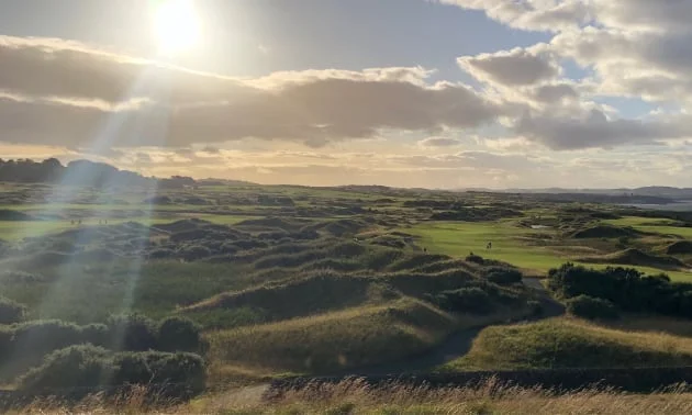 Dirk's lernende Bilderwelt