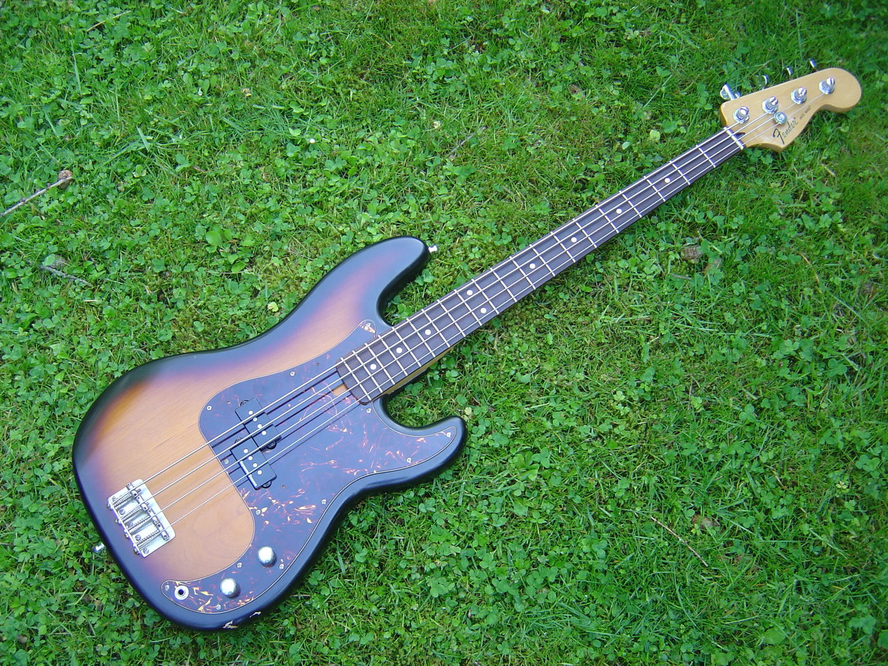 Frankenfender Sunburst 001.JPG