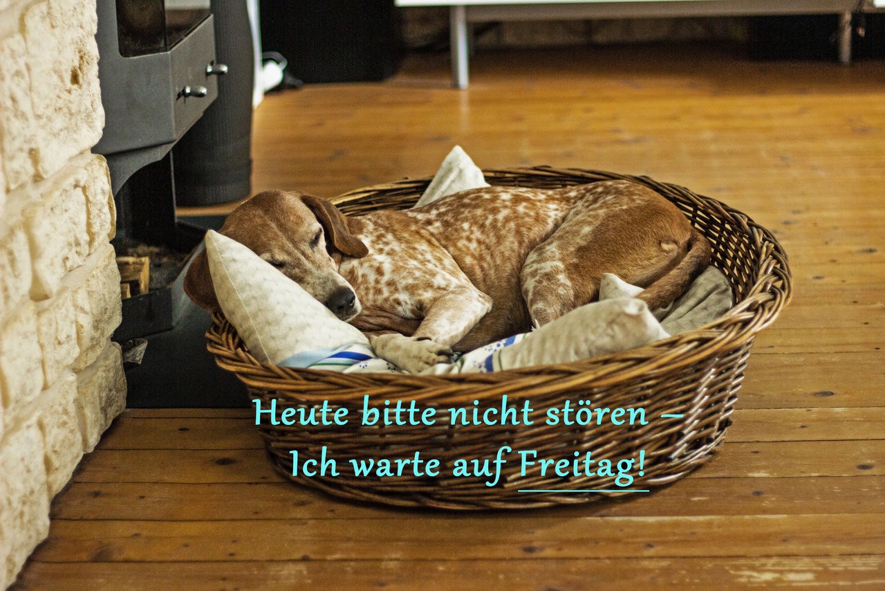 Freitag.jpg