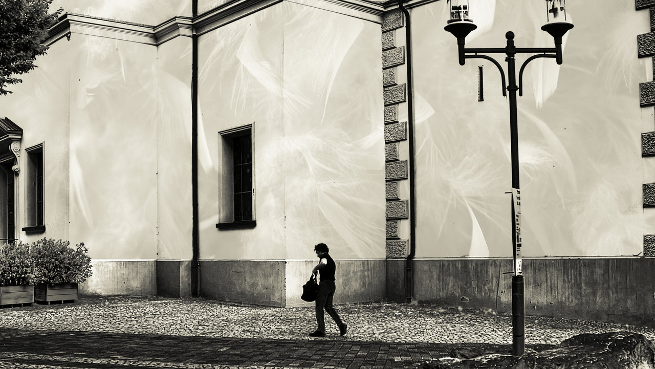 freitag P1002872-3xx (2).jpg