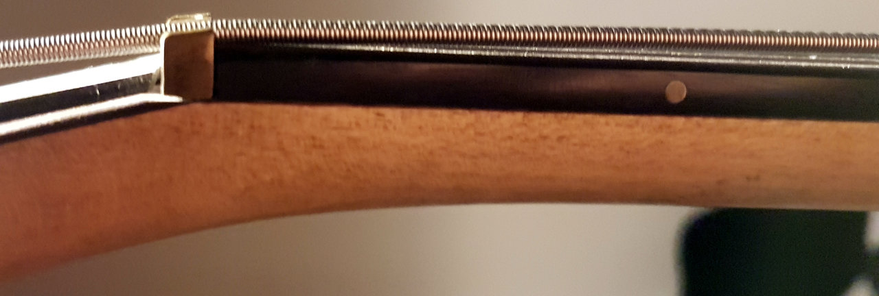 Fretless.jpg