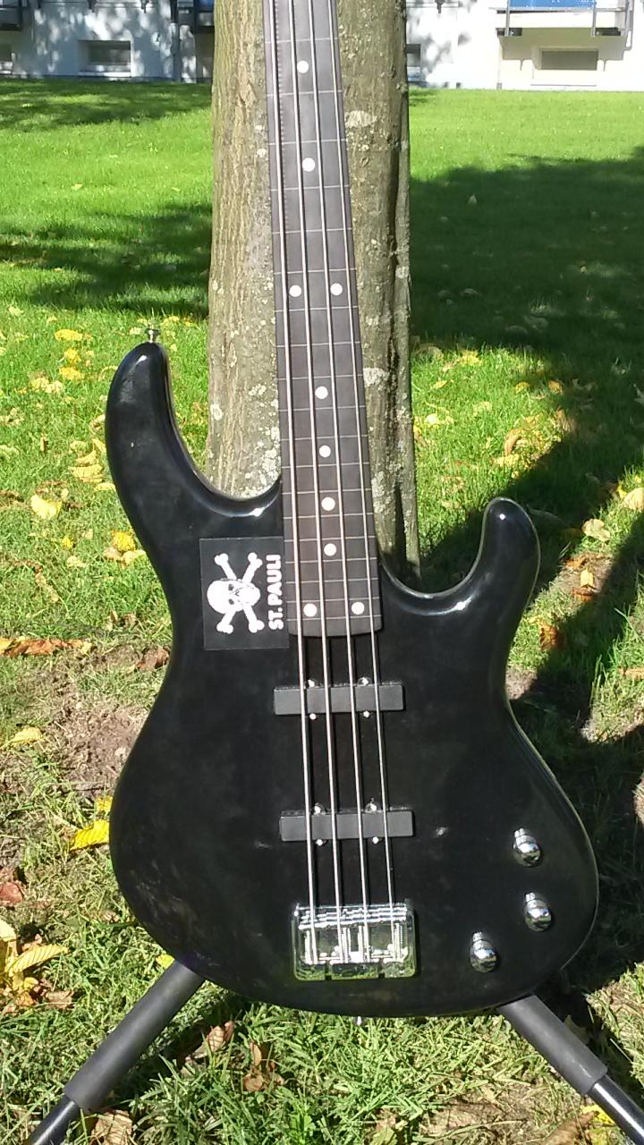 Fretless2.jpg