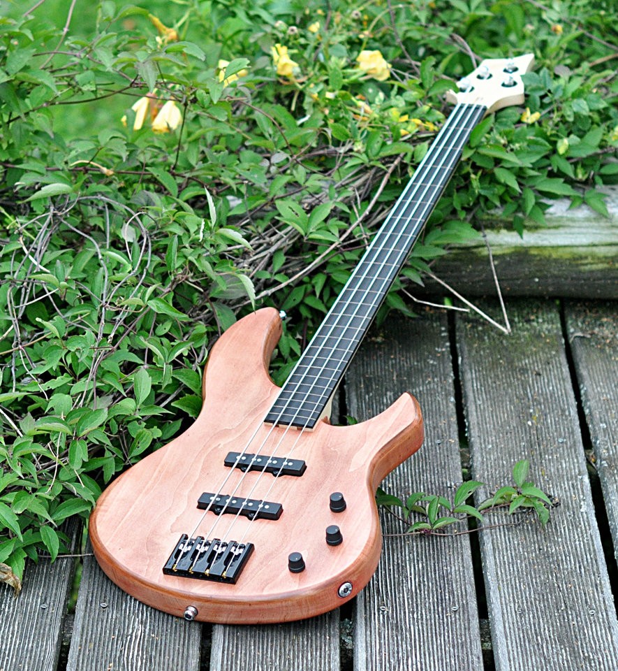 Fretless42.jpg