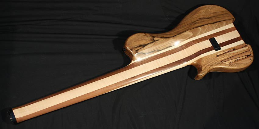 fretlesssc6back.jpg