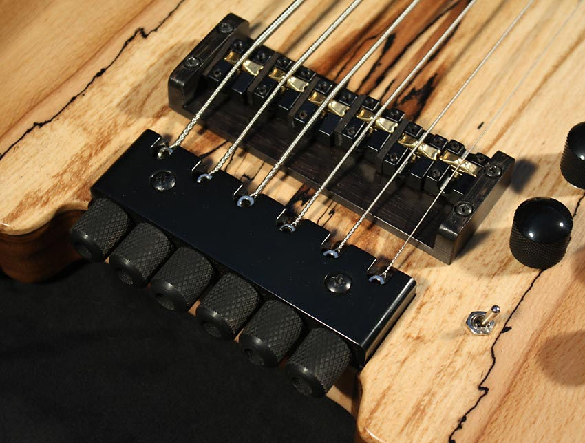 fretlesssc6tunerandbridge1.jpg