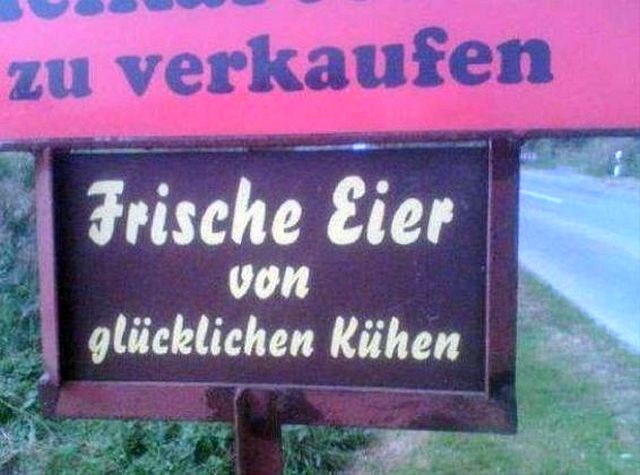 frische Eier.jpg
