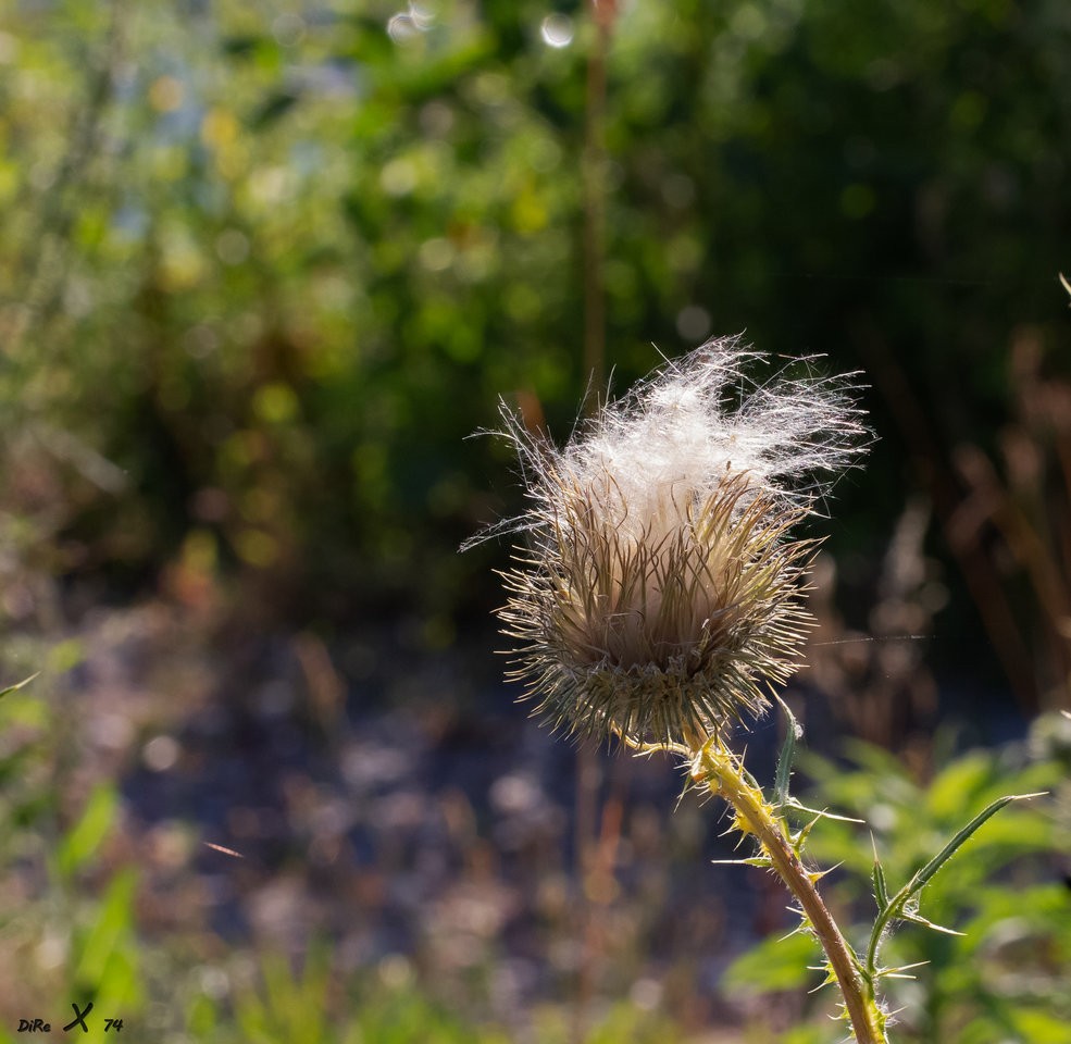frisur_12072020.jpg
