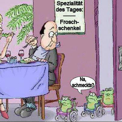 froesche.jpg