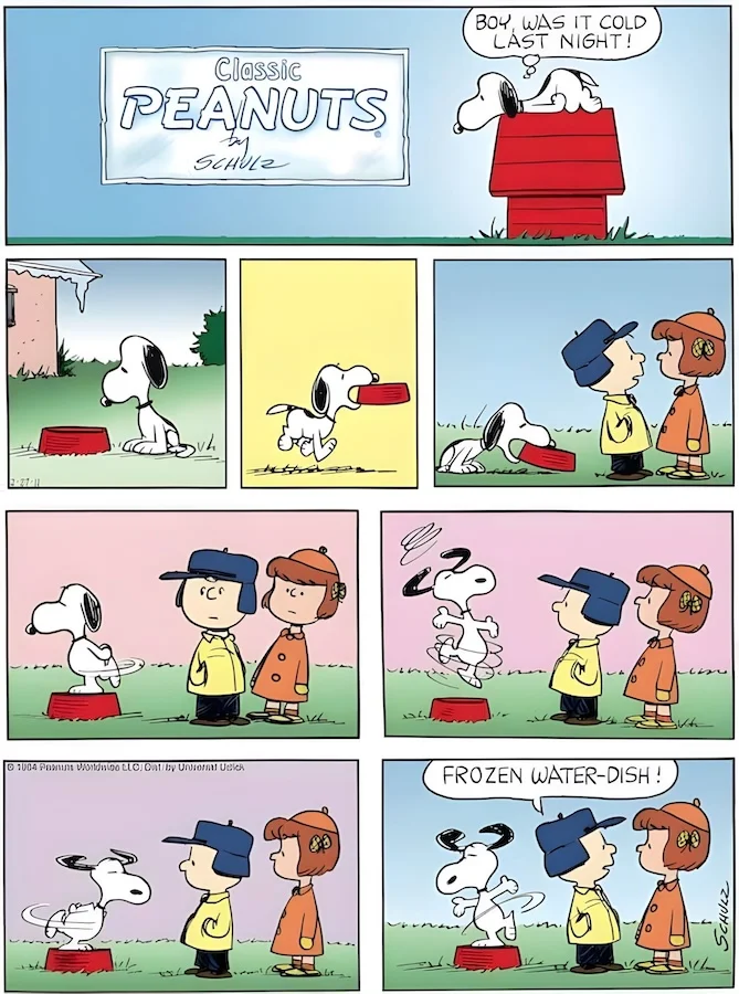 frozen water dish.webp