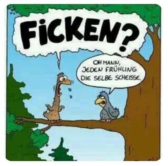 Frühling.jpg