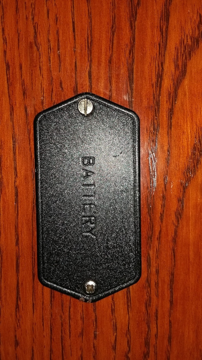 G&L batt.jpg