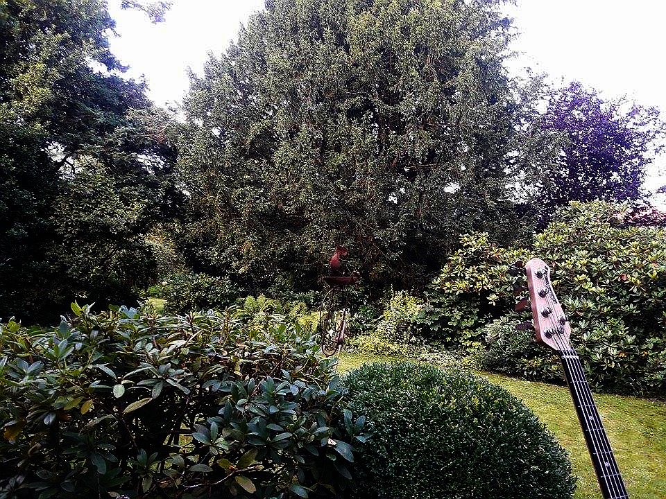 garten.jpg