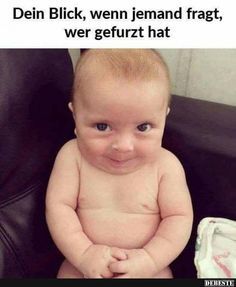 gefurzt.jpg