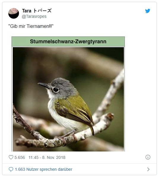 Gib_mir_Tiernamen.jpg