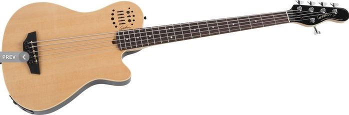 Godin A5.JPG