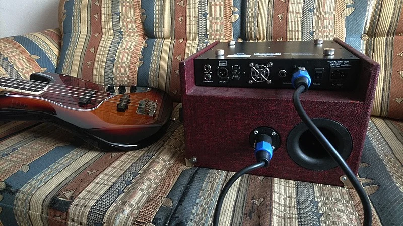 Goldemar von hinten.webp