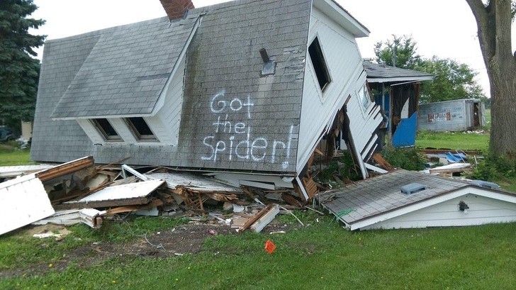 Gotthespider.jpg