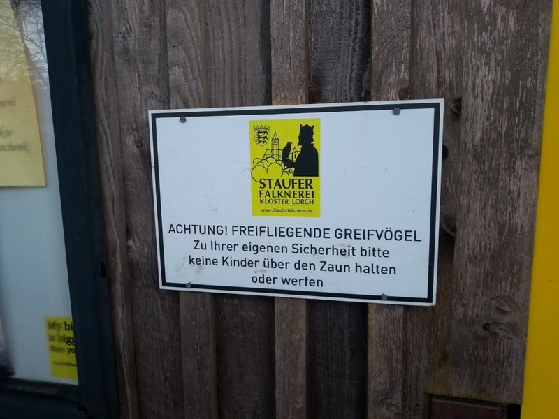 greifvogrl.jpg