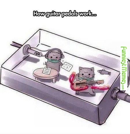 Guitarpedal.jpg