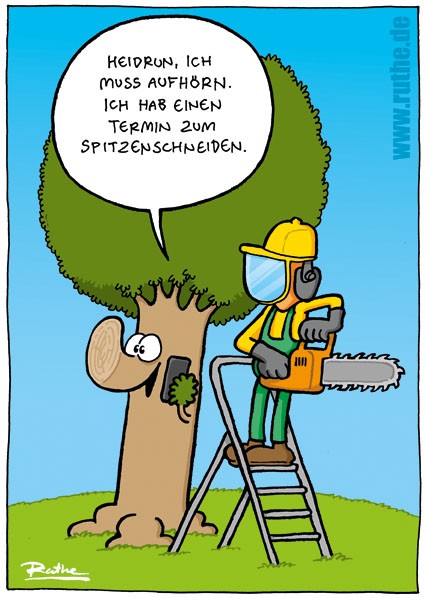 Haare.jpg