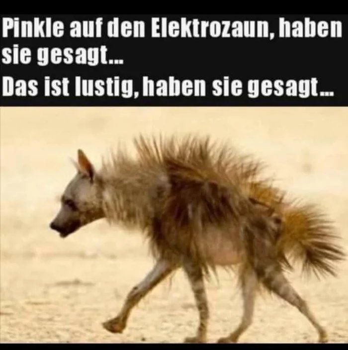 Haben-sicherlich-schon-einige-probiert.jpg