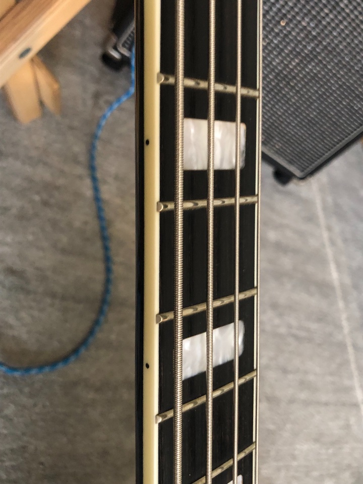 hagström viking bass - 7.jpeg