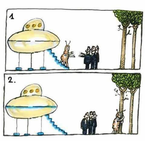 Hallo.jpg
