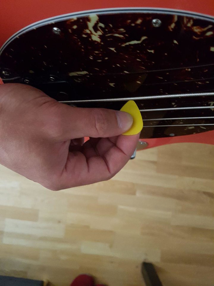 haltung pick 1.jpg