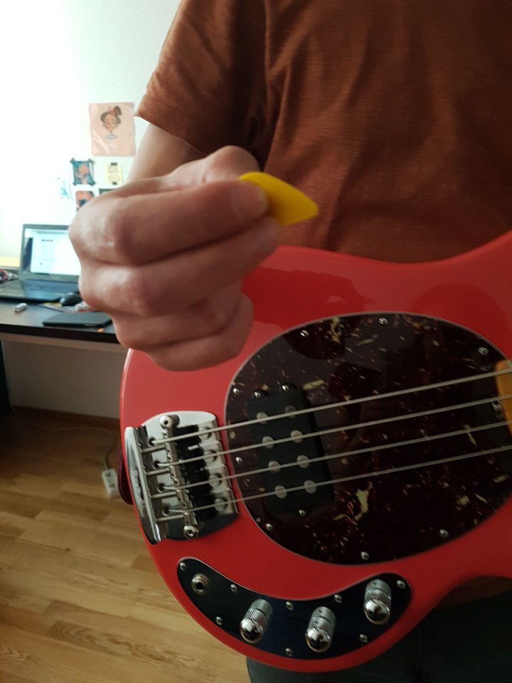 haltung pick 2.jpg