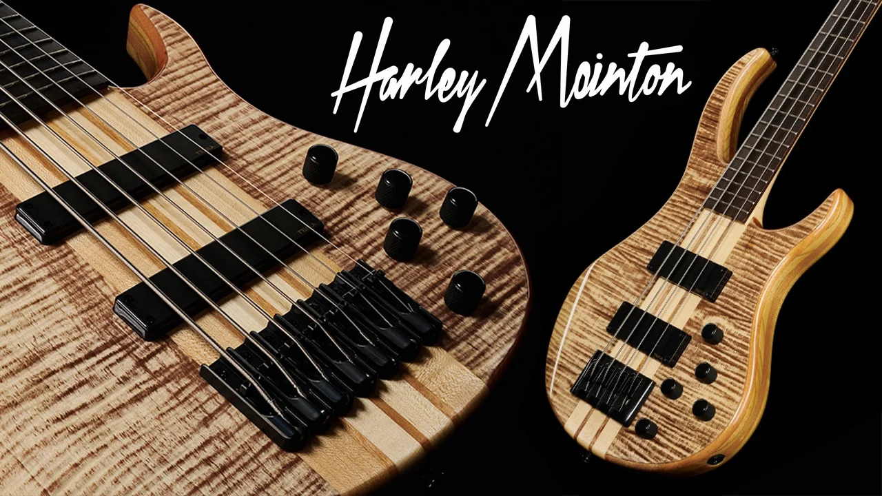 Harley-Benton-BZ-1000-II-Bass-Series_6.webp