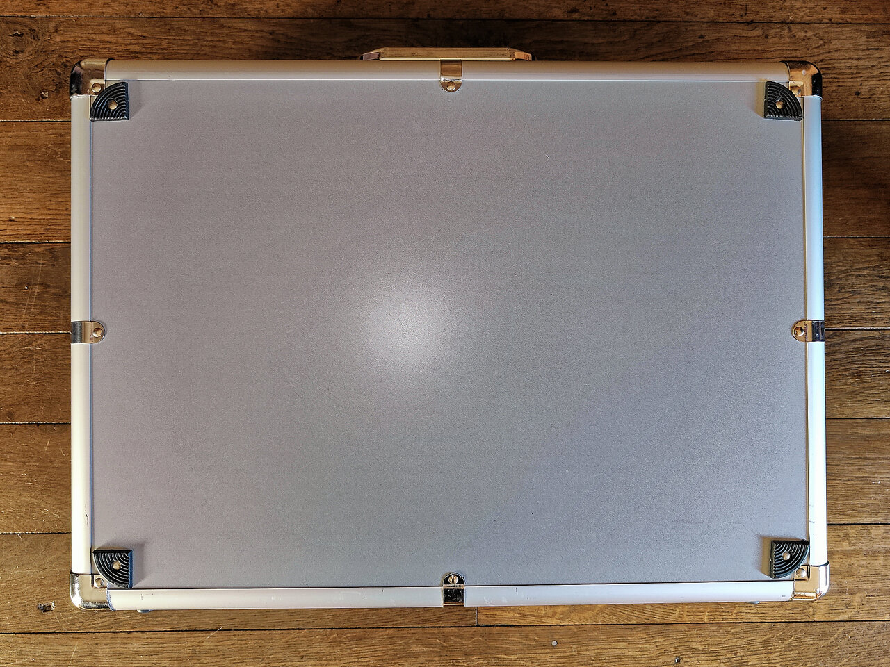 Harley Benton SpaceShip 40 with Hardcase (11).jpg