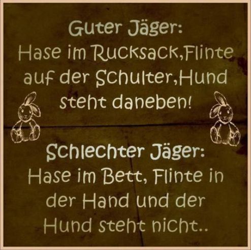Hase.jpg